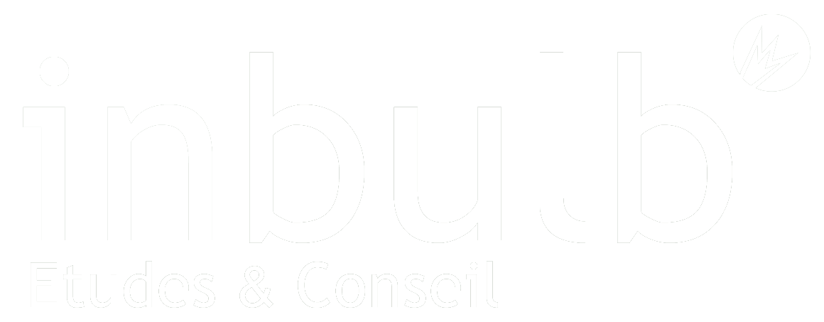 Logo Inbulb, cabinet d'études marketing qualitatives et conseils
